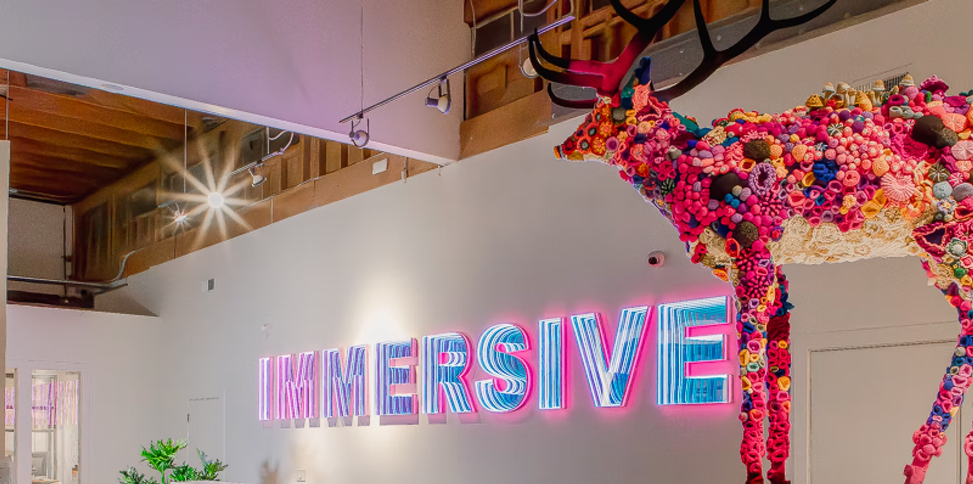 Immersive PDX / Immersive Therapies